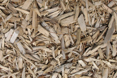 biomass boilers Merstone